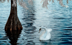 Beautiful Photo by Deborah Sandidge World Photography